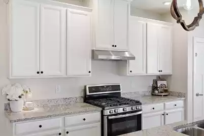 208 Lynx Lane, Summerville, SC 29483 - Photo 29