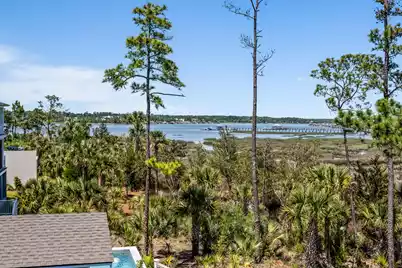 2316 Bucktail Court, Mount Pleasant, SC 29466 - Photo 57