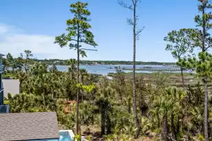2316 Bucktail Ct, Mount Pleasant, SC 29466 - Photo 57
