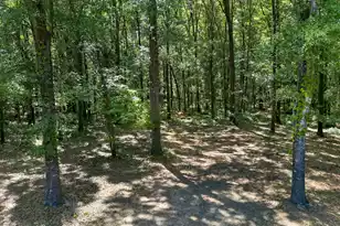 1131 Hickory Dr, Summerton, SC 29148 - Photo 77