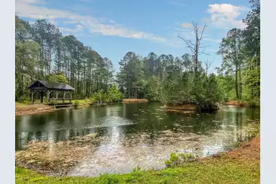 1527 John Fenwick Lane, Johns Island, SC 29455 - Photo 93