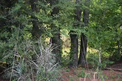 Tbd Thurgood Marshall Highway, Andrews, SC 29510 - Photo 1