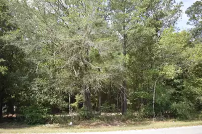 Tbd Sumter Highway, Kingstree, SC 29556 - Photo 1