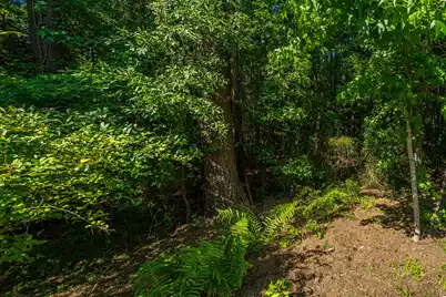1277 Pearwood Court, Mount Pleasant, SC 29466 - Photo 47