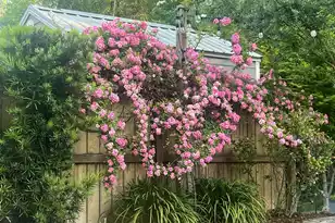 2008 Fleming Woods Rd, Charleston, SC 29412 - Photo 55