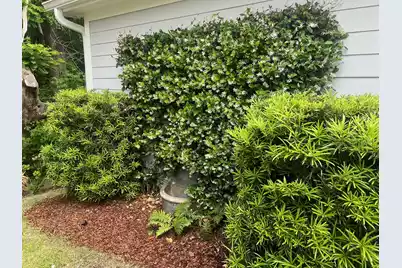 2008 Fleming Woods Road, Charleston, SC 29412 - Photo 57