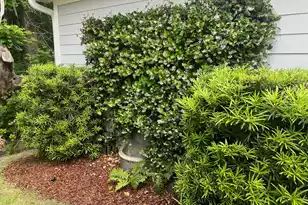 2008 Fleming Woods Rd, Charleston, SC 29412 - Photo 57