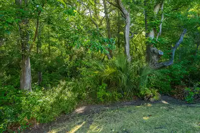 2008 Fleming Woods Road, Charleston, SC 29412 - Photo 55