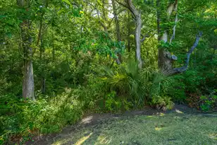 2008 Fleming Woods Rd, Charleston, SC 29412 - Photo 55