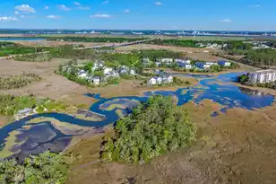 935 Governors Cay Cir, Charleston, SC 29492 - Photo 63