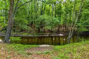 88 Turtle Ct, Ridgeville, SC 29472 - Photo 41