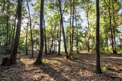 3566 Bohicket Estates Drive, Johns Island, SC 29455 - Photo 13