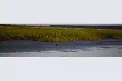 0 Cole, Folly Beach, SC 29439 - Photo 7