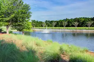 214 Warbler Way, Summerville, SC 29483 - Photo 73