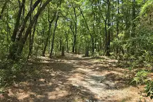 6380 Come About Way, Awendaw, SC 29429 - Photo 5