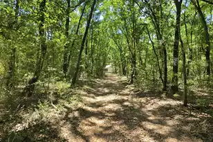 6380 Come About Way, Awendaw, SC 29429 - Photo 7