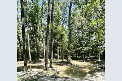 110 Poplar Grove Road, Cope, SC 29038 - Photo 35