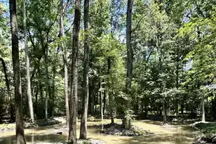 110 Poplar Grove Rd, Cope, SC 29038 - Photo 35