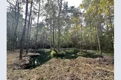 110 Poplar Grove Road, Cope, SC 29038 - Photo 33