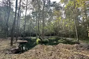 110 Poplar Grove Rd, Cope, SC 29038 - Photo 33