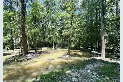 110 Poplar Grove Road, Cope, SC 29038 - Photo 33