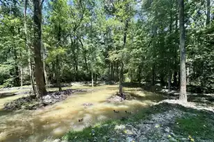 110 Poplar Grove Rd, Cope, SC 29038 - Photo 33