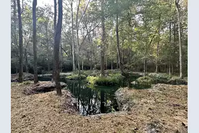 110 Poplar Grove Road, Cope, SC 29038 - Photo 33