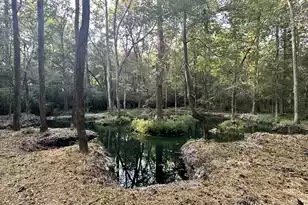 110 Poplar Grove Rd, Cope, SC 29038 - Photo 33