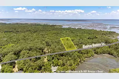 7767 Chaplin Garden Lane, Edisto Island, SC 29438 - Photo 3