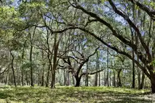 7767 Chaplin Garden Ln, Edisto Island, SC 29438 - Photo 1