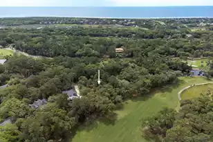 2517 Otter Ln, Johns Island, SC 29455 - Photo 59