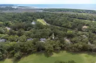 2517 Otter Ln, Johns Island, SC 29455 - Photo 57