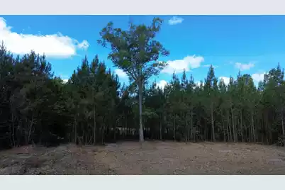 4 Highway 311, Cross, SC 29436 - Photo 3