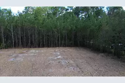4 Highway 311, Cross, SC 29436 - Photo 5