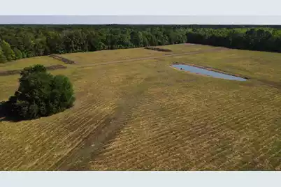 000 Cottage Lane, Saint Stephen, SC 29479 - Photo 11