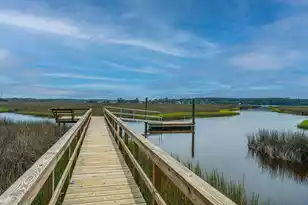 1013 Saltwater Cir, Johns Island, SC 29455 - Photo 59