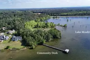 216 Summer Breeze Way, Pinopolis, SC 29469 - Photo 57