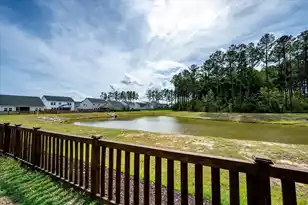 233 Narrowleaf Ave, Summerville, SC 29485 - Photo 39