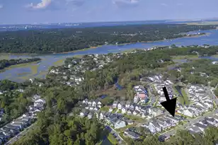 1048 Hills Plantation Dr, Charleston, SC 29412 - Photo 5