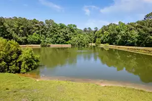 207 Sparkleberry Ln, Ladson, SC 29456 - Photo 45