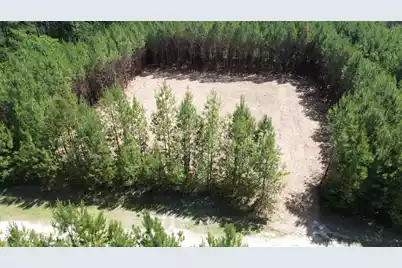 5 Highway 311, Cross, SC 29436 - Photo 3