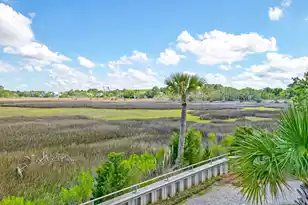 118 Cooper River Dr, Mount Pleasant, SC 29464 - Photo 41