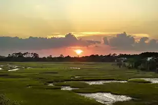 2526 Seabrook Island Rd, Seabrook Island, SC 29455 - Photo 5