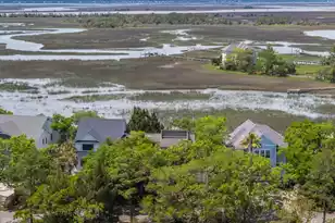 12 Marsh Island Ln, Isle Of Palms, SC 29451 - Photo 93