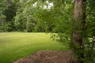 7919 Shadow Oak Dr, North Charleston, SC 29406 - Photo 11