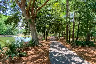 2660 Magnolia Woods Dr, Mount Pleasant, SC 29464 - Photo 95