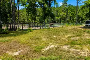 321 Marion Rd, Dorchester, SC 29437 - Photo 7