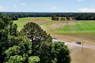 9604 Neeses Hwy, Springfield, SC 29146 - Photo 59