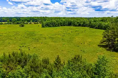 0 Rehoboth Road, Cottageville, SC 29435 - Photo 35