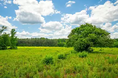 0 Rehoboth Road, Cottageville, SC 29435 - Photo 11